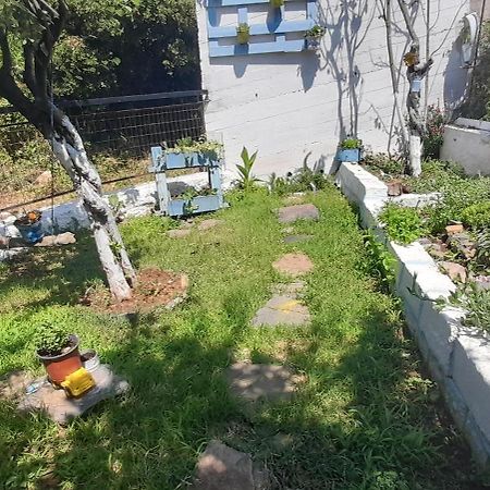 Το Σπίτι Της Ελένης Apartamento Vlachia Exterior foto