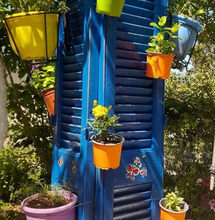 Το Σπίτι Της Ελένης Apartamento Vlachia Exterior foto