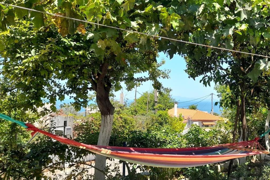 Το Σπίτι Της Ελένης Apartamento Vlachia Exterior foto