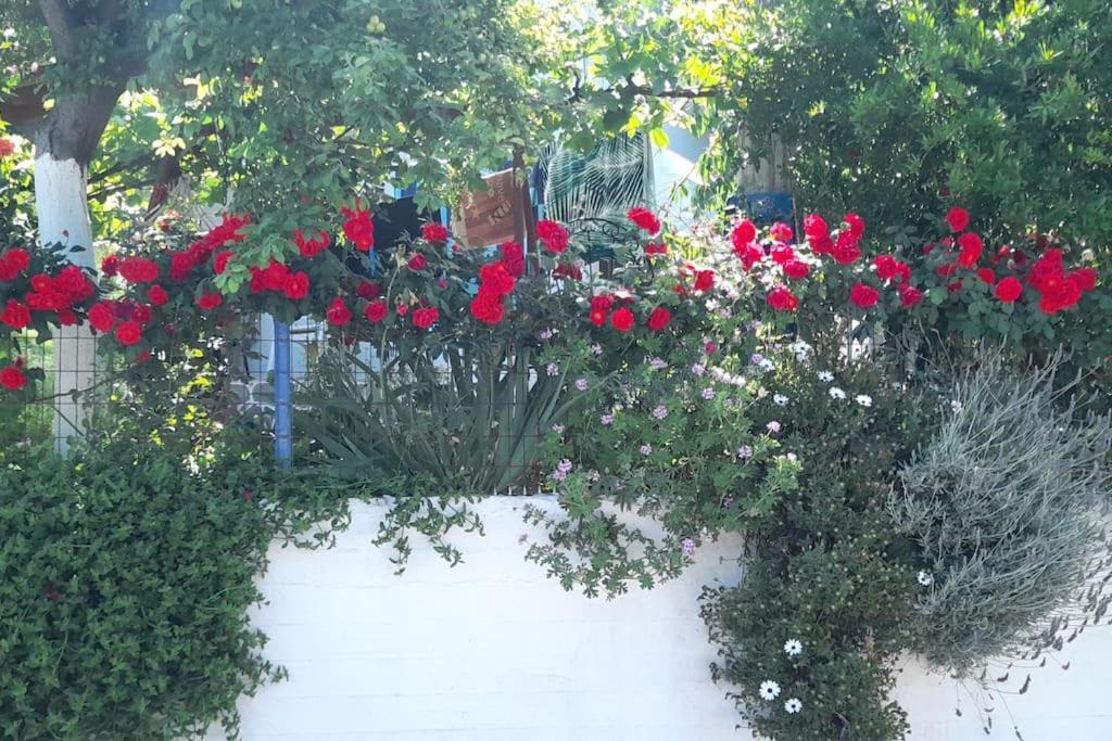 Το Σπίτι Της Ελένης Apartamento Vlachia Exterior foto
