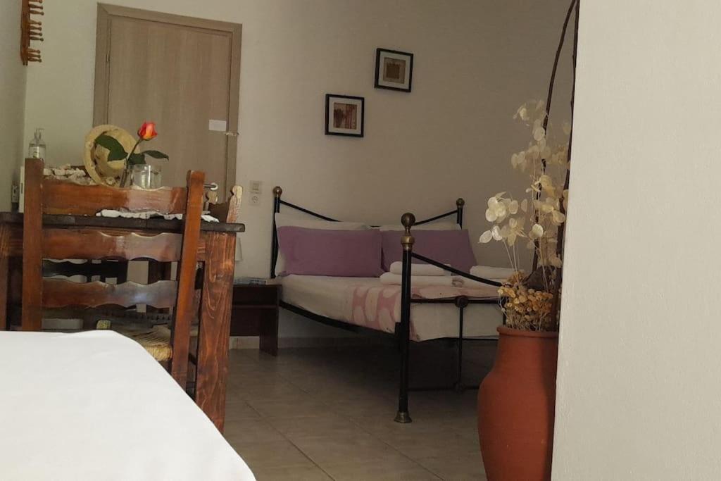 Το Σπίτι Της Ελένης Apartamento Vlachia Exterior foto