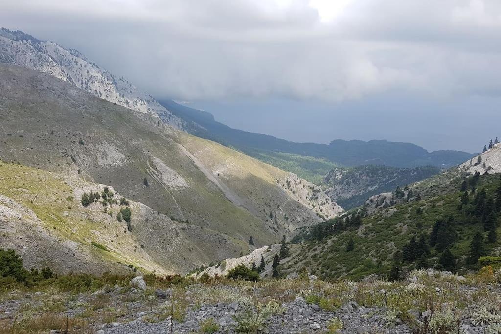 Το Σπίτι Της Ελένης Apartamento Vlachia Exterior foto