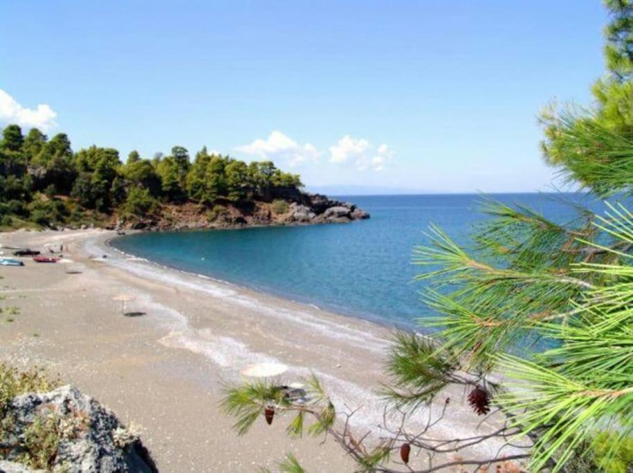Το Σπίτι Της Ελένης Apartamento Vlachia Exterior foto