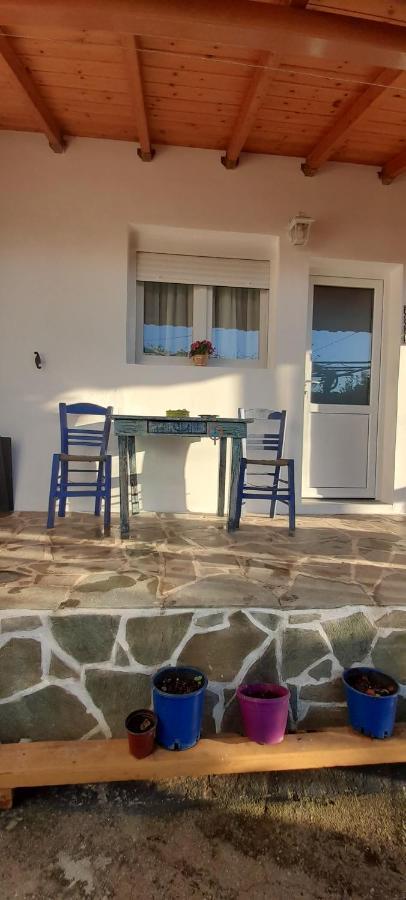 Το Σπίτι Της Ελένης Apartamento Vlachia Exterior foto