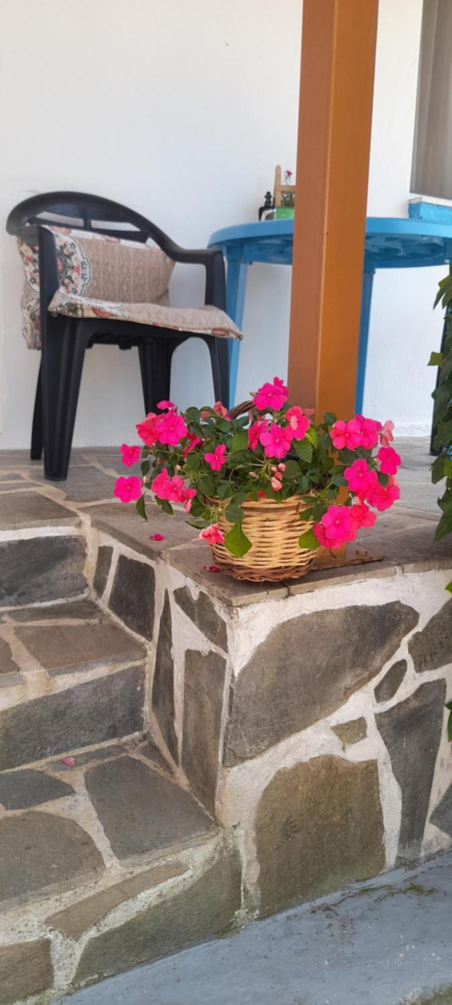 Το Σπίτι Της Ελένης Apartamento Vlachia Exterior foto