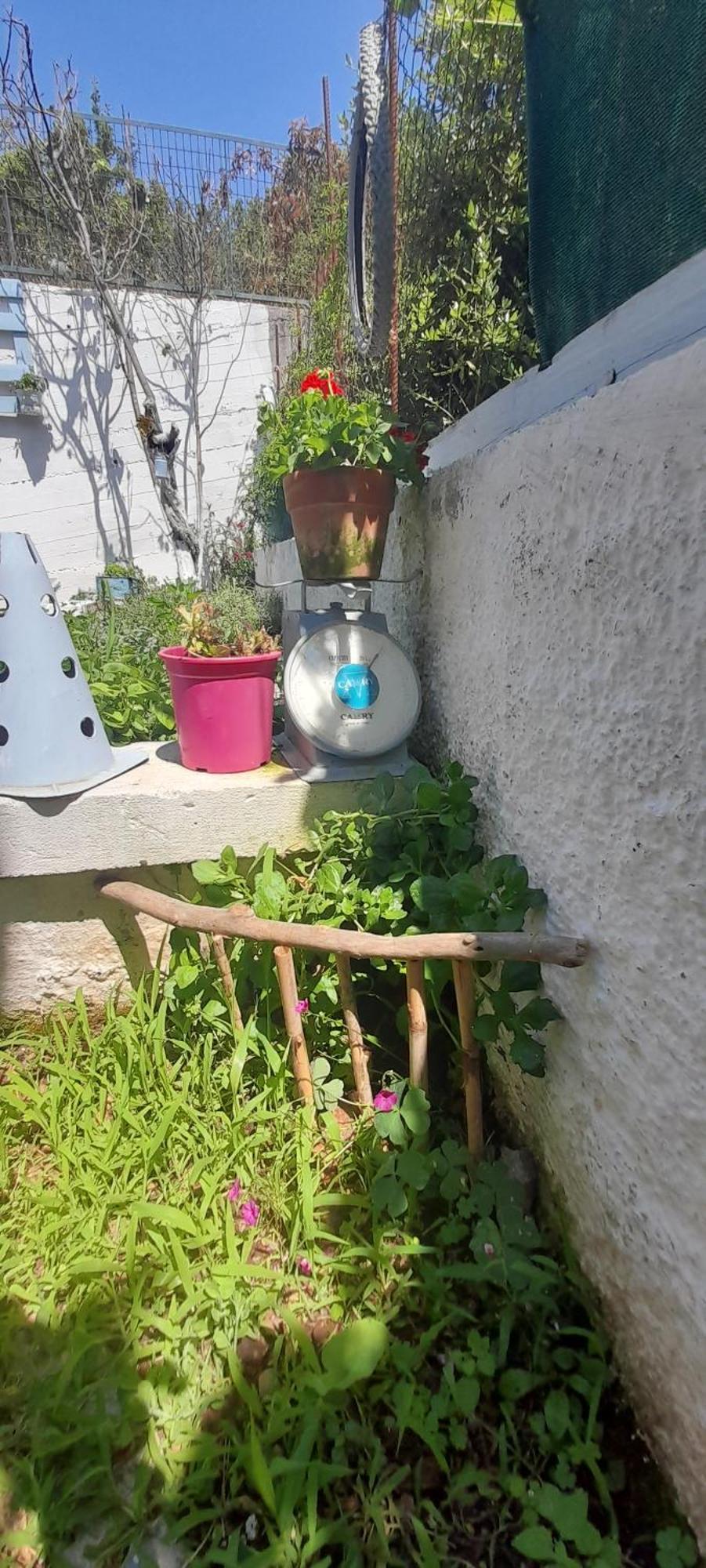 Το Σπίτι Της Ελένης Apartamento Vlachia Exterior foto