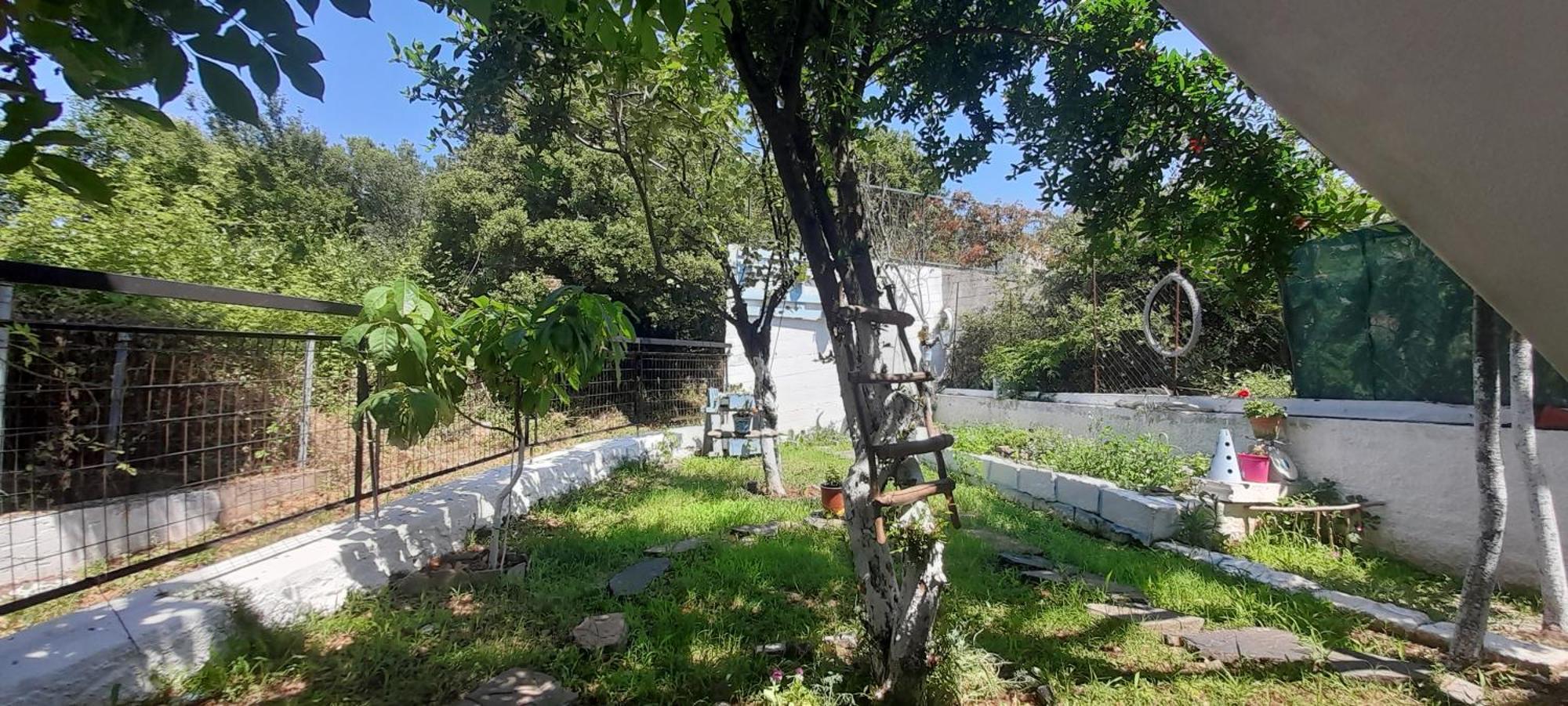 Το Σπίτι Της Ελένης Apartamento Vlachia Exterior foto